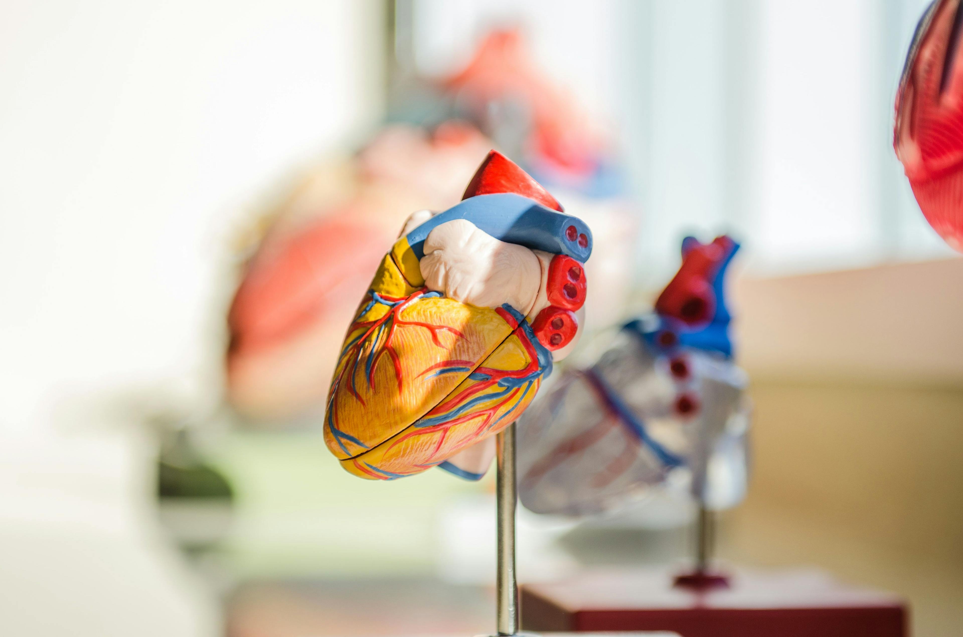 Cardiovascular Complications Likely Component of Long COVID