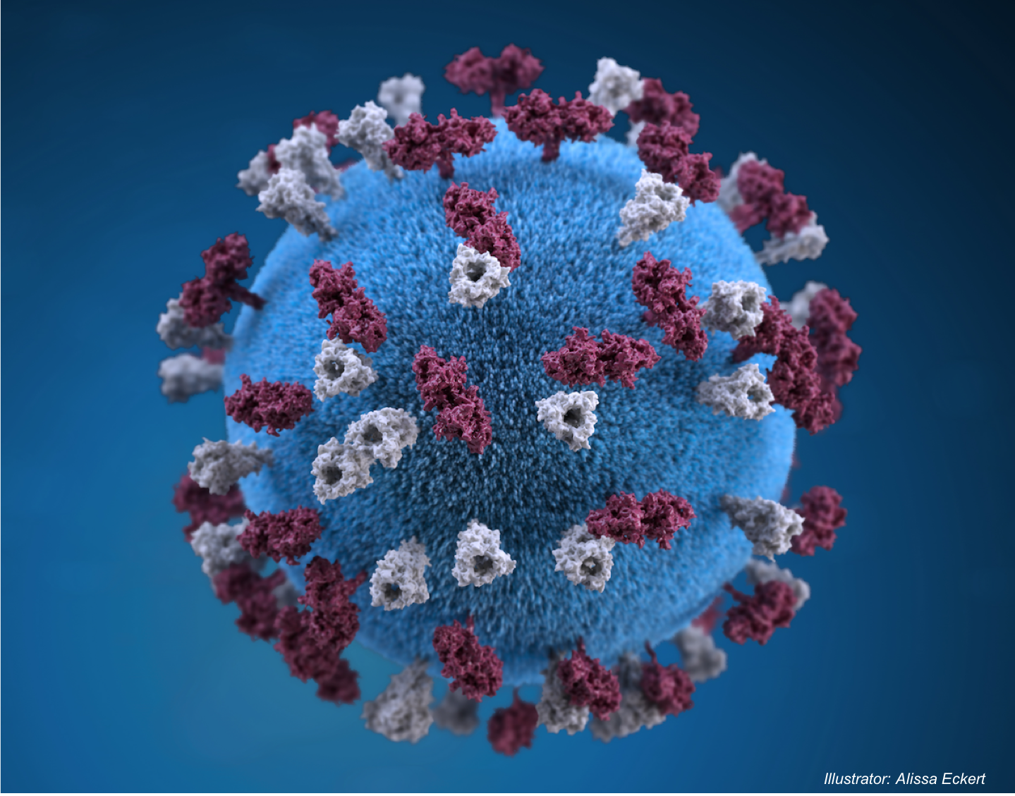 Measles Outbreak and Malicious Actors in Europe: Public Health Watch