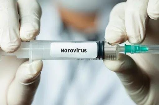 HilleVax's NEST-IN1 Phase 2b trial evaluated the HIL-214 vaccine for moderate or severe acute gastroenteritis caused by GI1 or GII4 norovirus genotypes in infants did not meet efficacy goals, prompting a stop of its development for this age group.