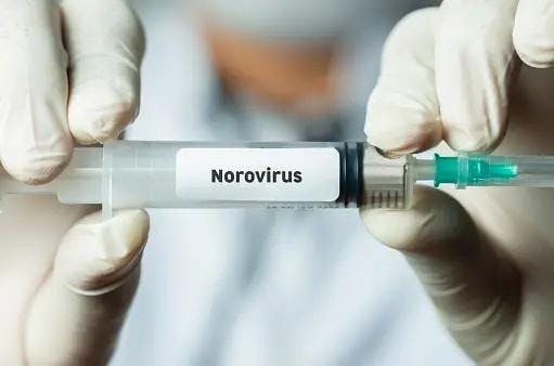 HilleVax’s Norovirus Phase 2b Vaccine Trial For Infants Falls Short