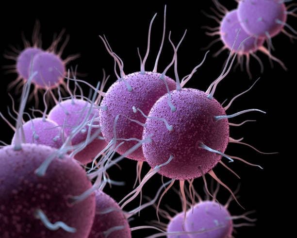 The Surge in Antibiotic Resistance Observed Among Gonorrhoea 