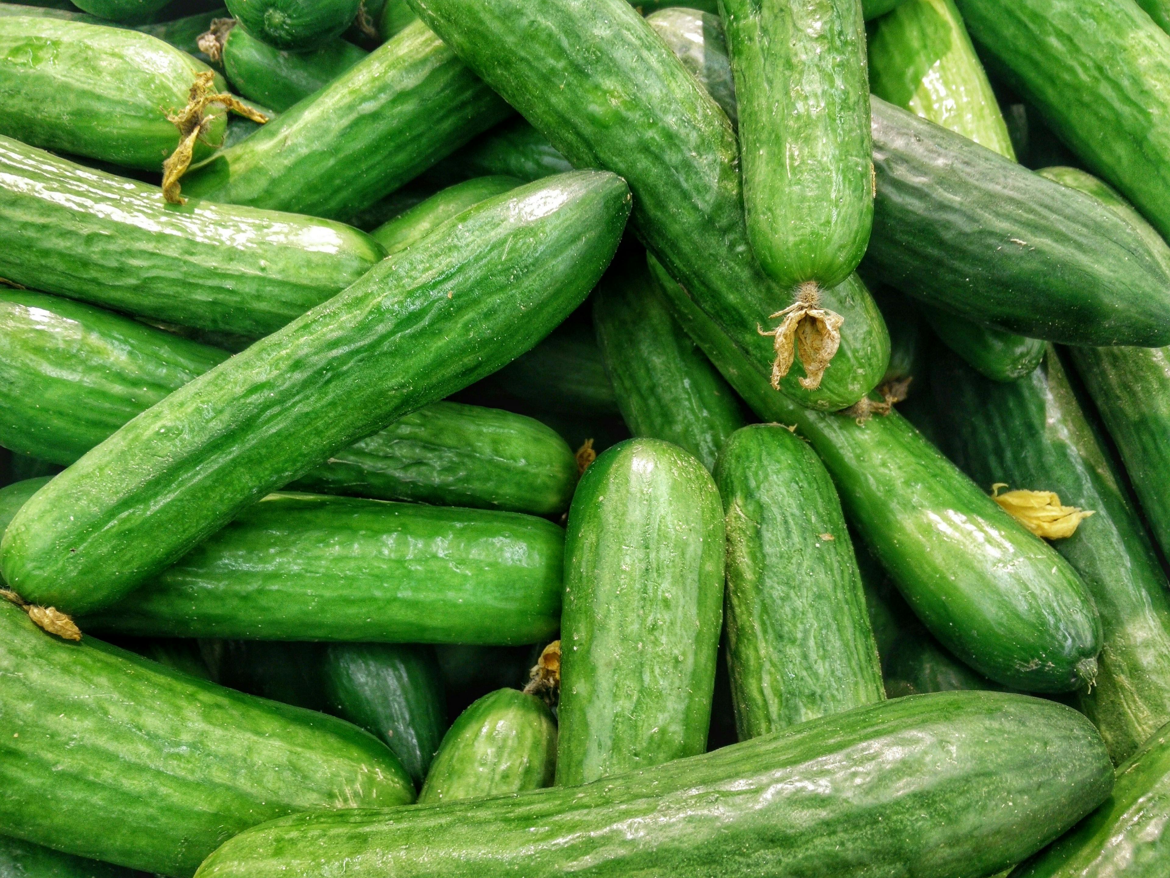 Potential Salmonella Outbreak Associated With Cucumbers