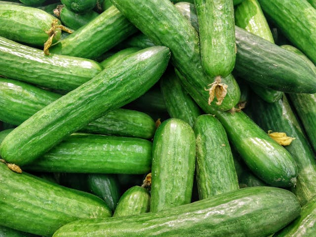 Salmonella Outbreak Cases Associated With Cucumbers Nearly Triple in a Month