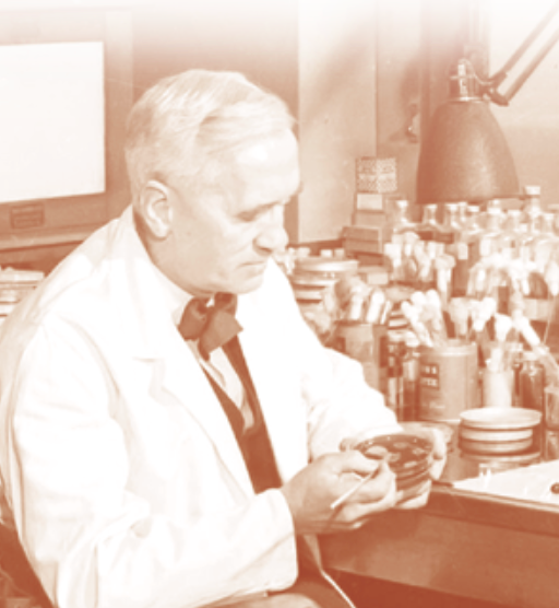 Scientist Alexander Fleming; image credit adobe