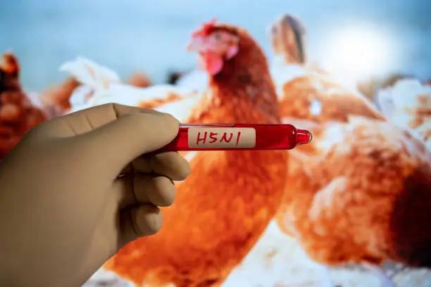 CDC Reports Confirmed Human Case of H5 Bird Flu 