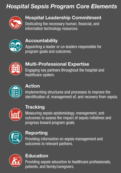 CDC's Hospital Sepsis Program Core Elements include seven core elements.