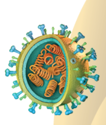 Multidrug Resistance in a Patient With HIV